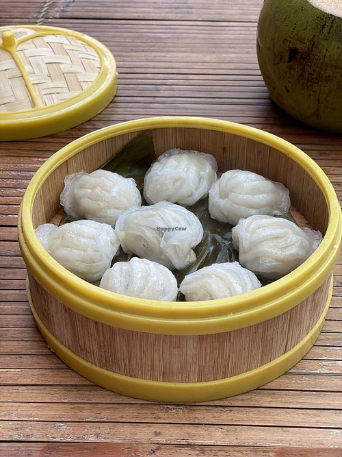 Mushroom dumplings. So yummy!  at Tam Coc Ngo Dong Homestay and Vegan Restaurant in Ninh Binh