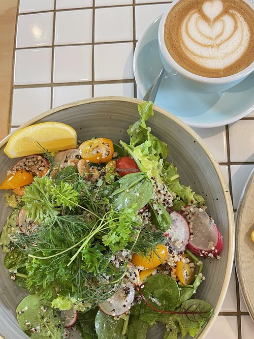 Little Ginger Waterloo New South Wales Restaurant HappyCow