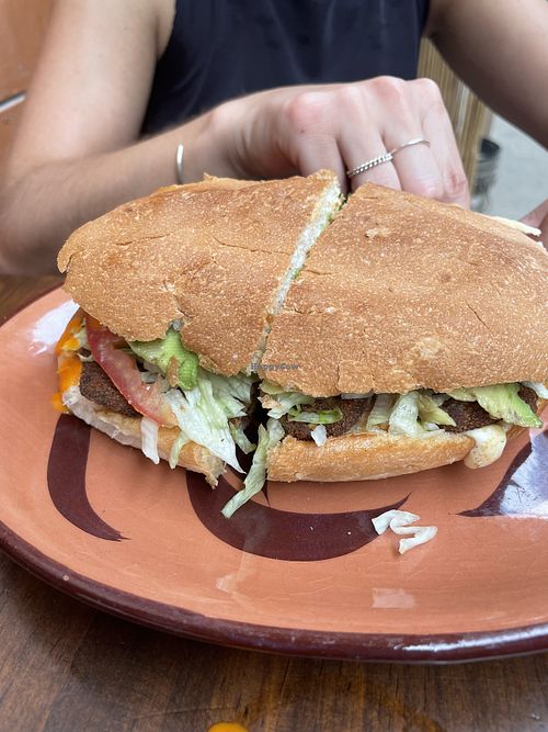 Milanesa Torta  at VeGe Express  in Puerto Escondido