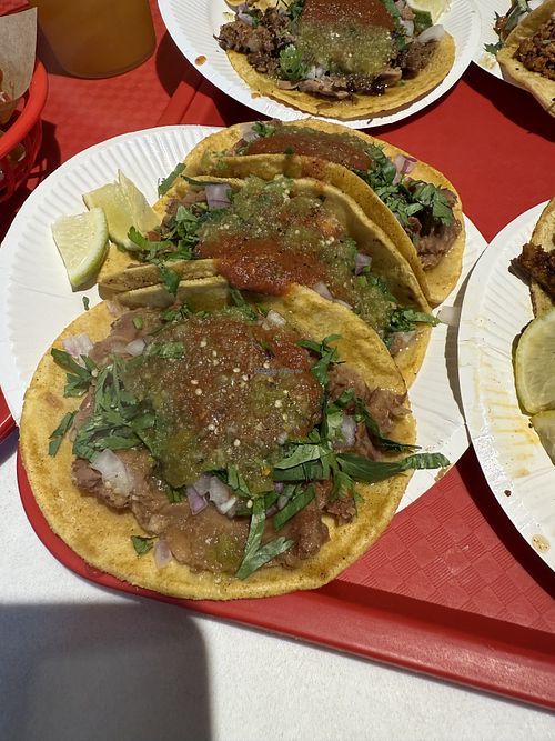 Vegan tacos  at High Street in Gwangju