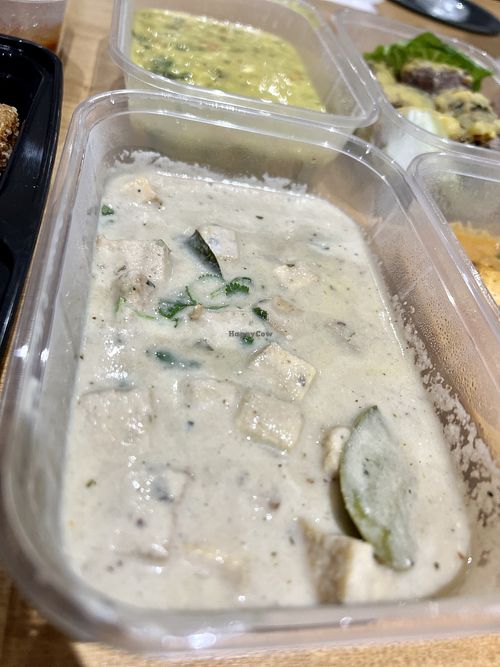 Tofu white curry  #Veganuary at Doctor K's Vegan Kitchen in Aberdeen