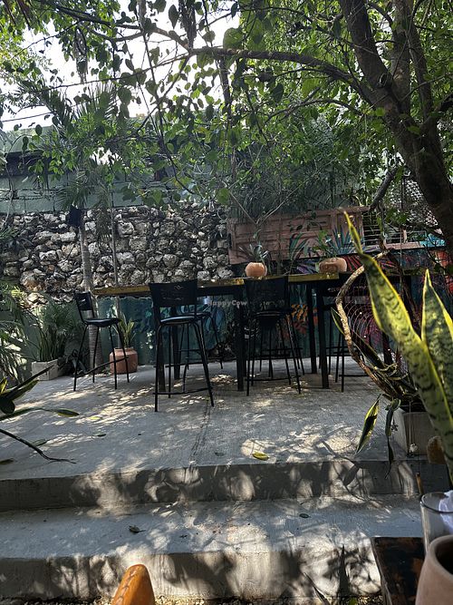 Garden #Veganuary at Selva Coffee Garden in Merida