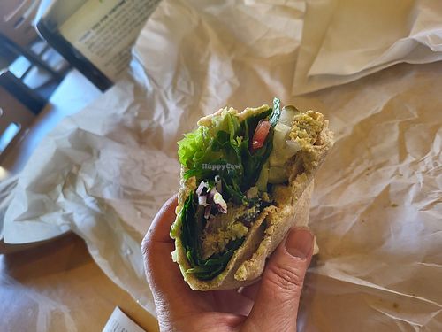 Falafel pita sandwich at Pita Fusion in Austin