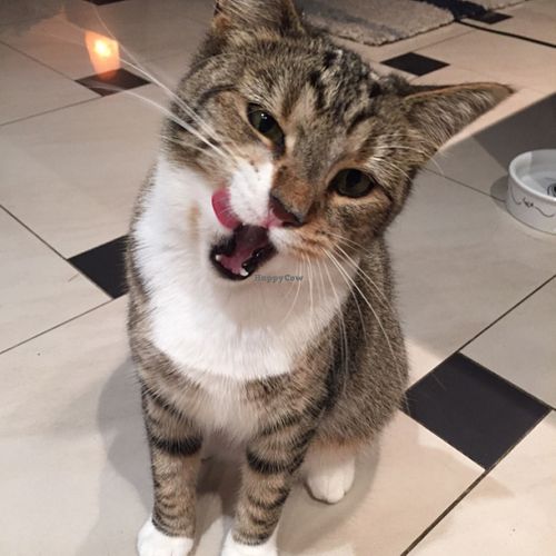 hungry me at Coffee1st in Sydney