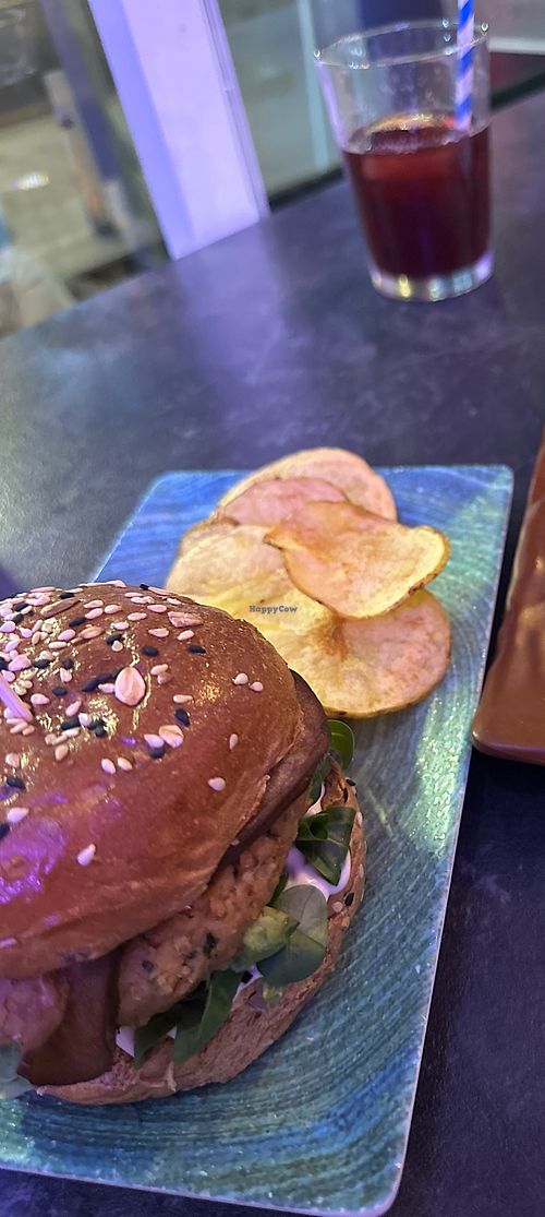 Bowie  at Sirocco Colorful Bar in Rincon De La Victoria