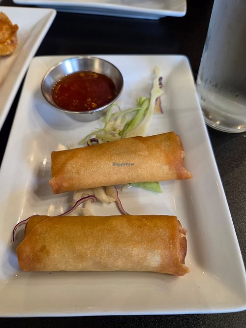 Fried spring roll at Khong Thai Cuisine in Rochester