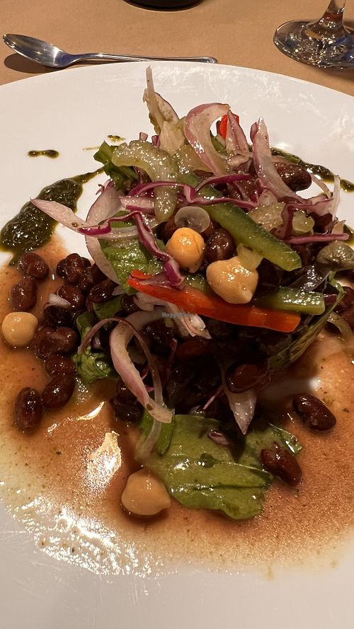 Vegan salad made for me  at Chile Picante Restoran in Puerto Montt