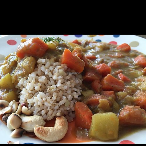 Curry and Brown Rice, Japanese Style at Bonita Cafe and Social Club in Bangkok