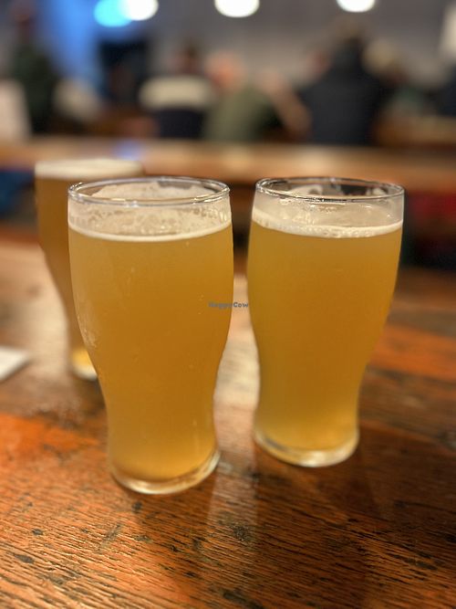 Beers   at Roam Brewing Company in Plymouth