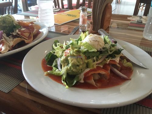 Did not care for the enchiladas the sauce was as bland as plain tomato sauce and the sour cream substance was grainy and salty at Vegan Planet in Cancun