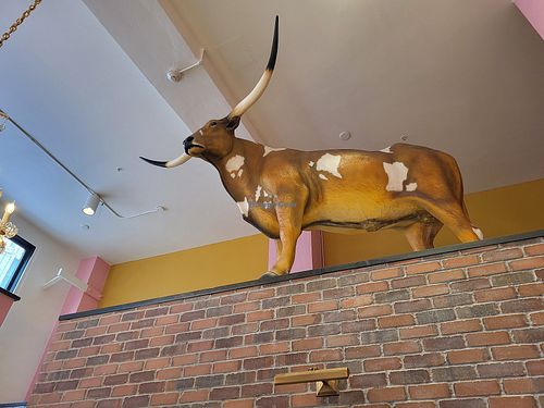  at Voodoo Doughnuts in San Antonio