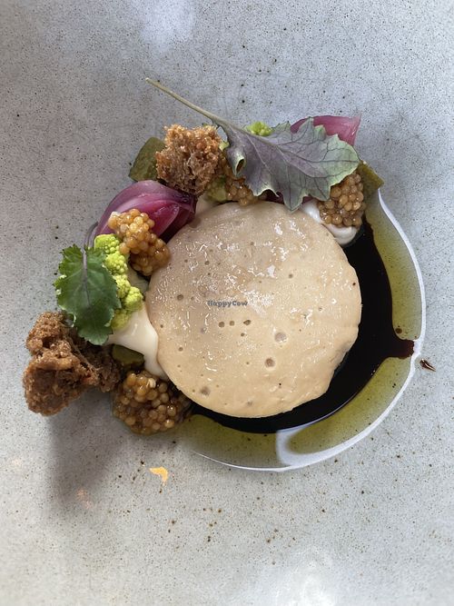   at De Houtloods in Tilburg