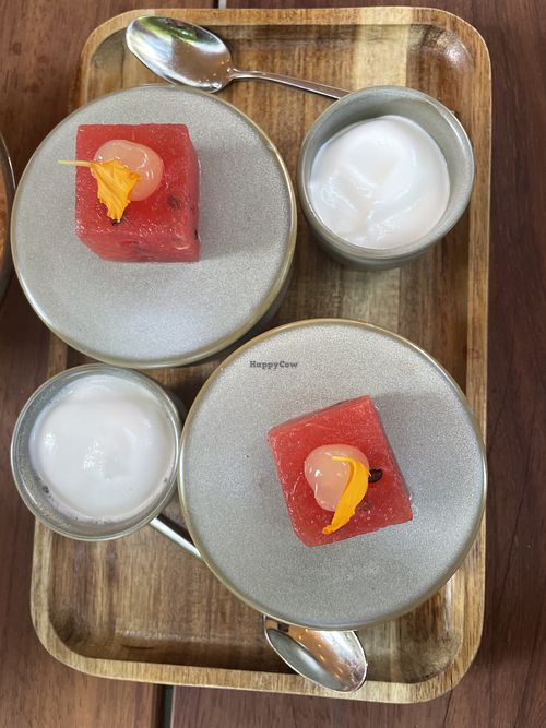   at De Houtloods in Tilburg