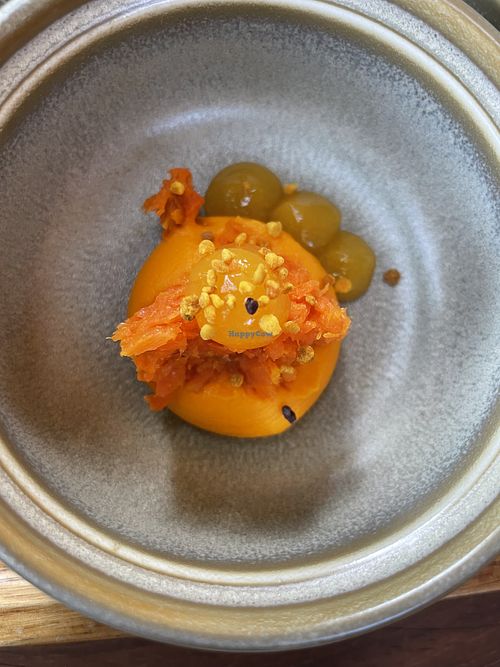   at De Houtloods in Tilburg