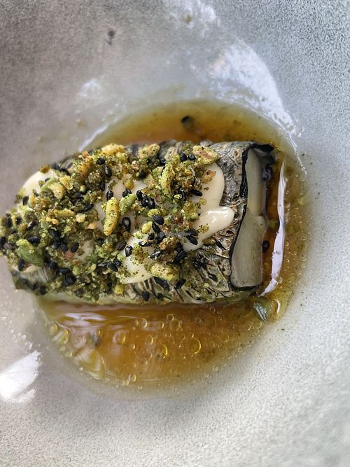   at De Houtloods in Tilburg