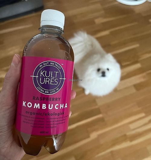  at Helsam in Copenhagen