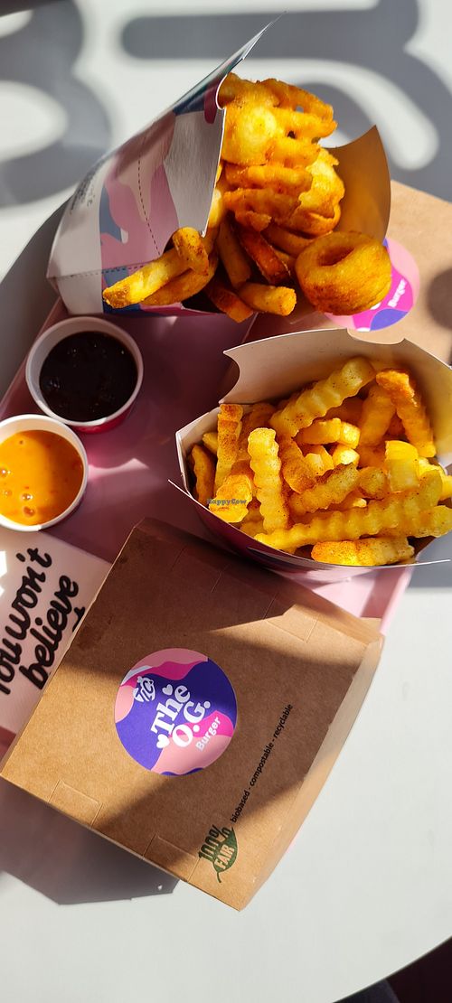 All the 🍟 at Taste Like Chicken TLC in Amsterdam