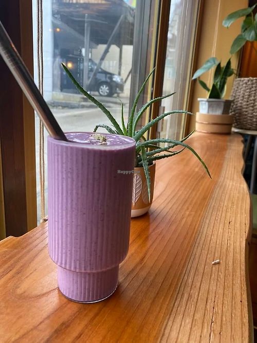   at Shizen  in Nozawaonsen