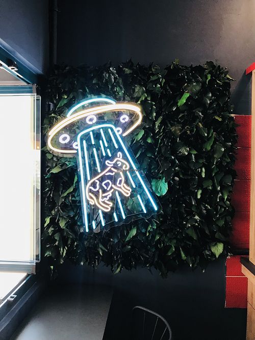   at Gibi Vegan in Izmir