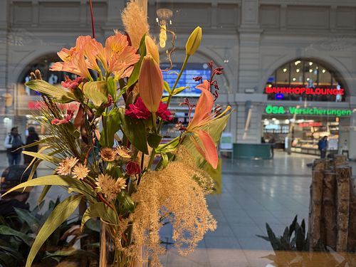 inside out #Veganuary at Haferkater - Hbf Halle (Saale) in Halle