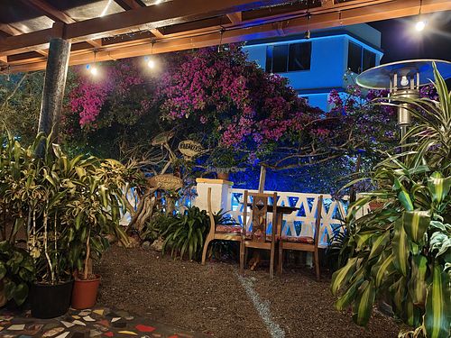  at Sativa Studio Cafe in Banos