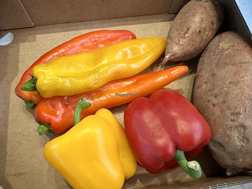 veggies  at Arabiske in Koethen