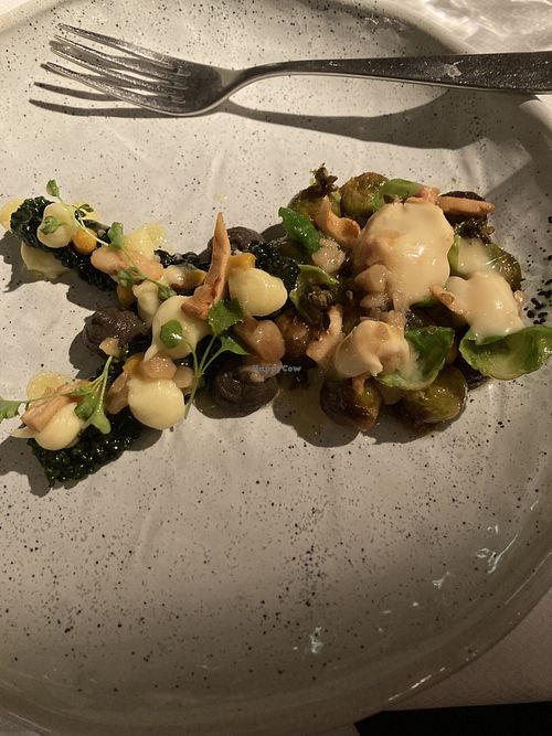 Roasted Brussels sprout entree  at De Jonge Dikkert in Amstelveen