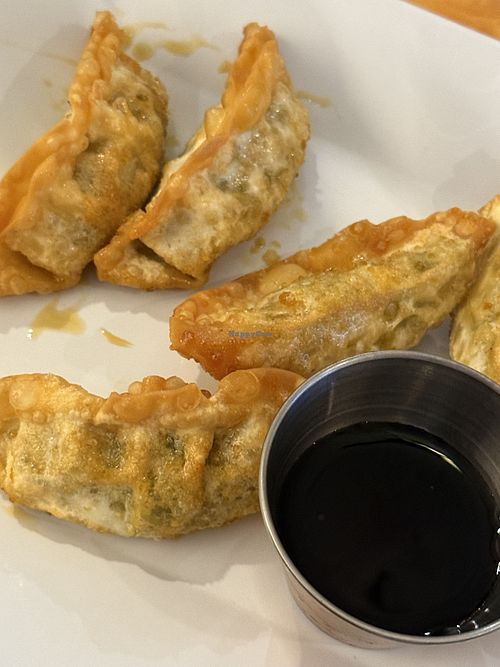 Veggie Dumplings   at BON VIET Bar and Restaurant in La Porte