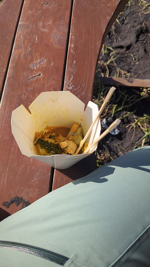 Mostly finished veganizer at Wok On Vík in Vik