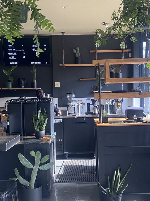 Los Vivoz Setup w/Digital Menus #Veganuary at Vivoz in Hayward