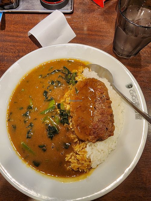 The vegetarian curry with soy meat and spinach at Coco Ichibanya in Hokkaido