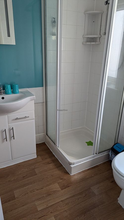 Alice Walker bathroom at The Miggi Vegan Guesthouse in Paignton