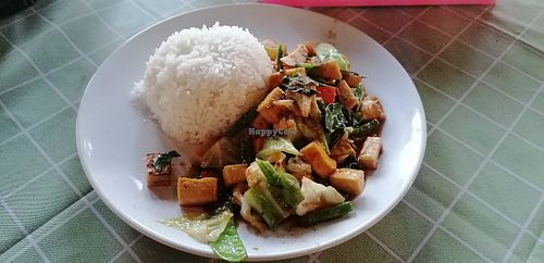 Pad Prig Gaeng with Tofu, super yummy! 45 Baht at Mon and Kurt's Restaurant in Chiang Dao
