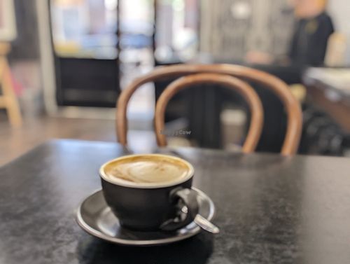 Great coffee at The Curious Rabbit in Wagga Wagga