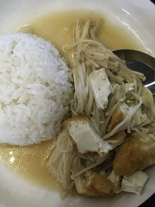 Golden needle mushroom with tofu and rice  at Tib Khao in Luang Prabang