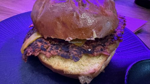   at Smashup! in Aachen