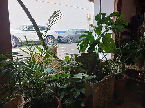 La Casita Jardín at La Casita Jardín in Altea