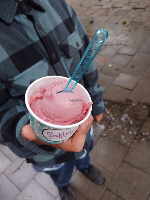 Granatapfel...Testurteil vom Experten: sehr gut 👍 schmeckt aber nicht nach Granatapfel 😅 at Eiscafé Filippi in Hamburg