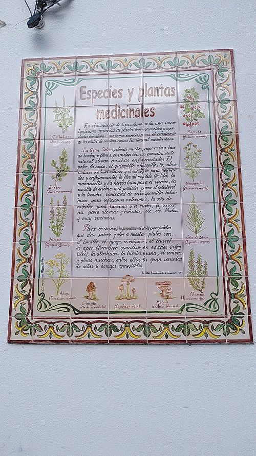  at Restaurante Cádiz El Chico in Grazalema