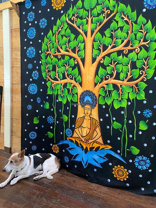 Image of Cafe-Bazar OM - temporarily closed