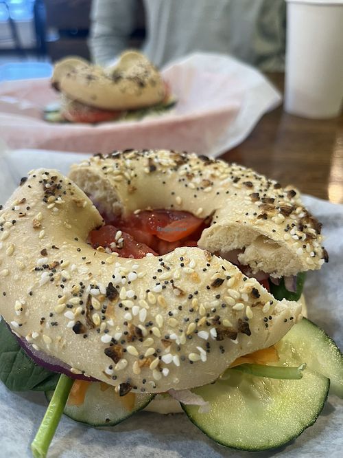   at Ozark Mountain Bagel Co - Central Ave in Bentonville