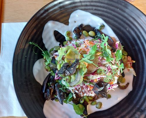 Vegan Budda Bowl at Papa Mo's in Papamoa
