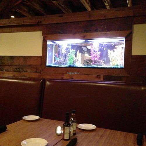 unfortunately, they have a fish tank  at Om Cafe - Traverse City in Traverse City