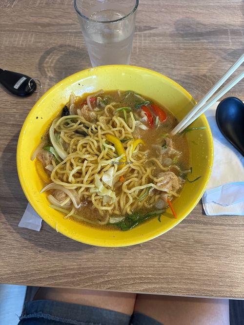 Vegan Animal Lovers Ramen bowl with soy protein .  at Ramen Mik in San Marcos