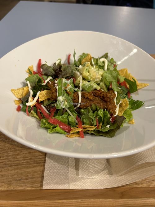   at Glocal Cafe in Tokyo