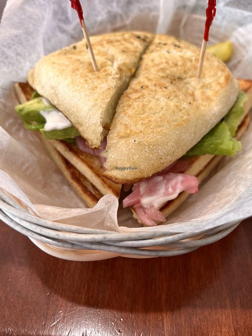 TLT  at Bull and Bean in Durham