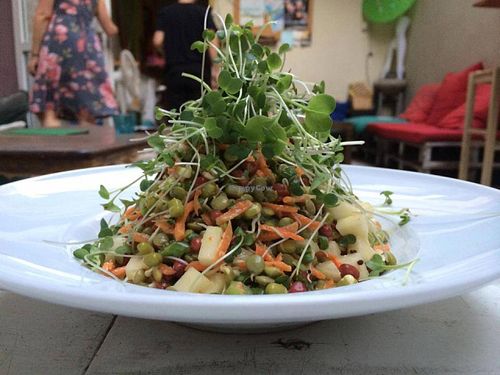 SPROUTS SALAD at HaBar-Kayma in Tel Aviv