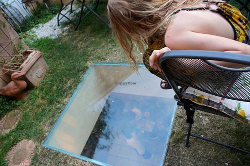 Floor window to observe the kitchen at Il Colibri in Calci