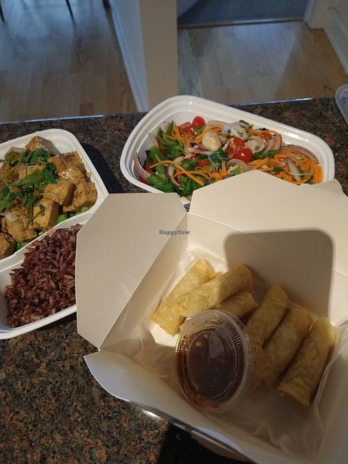 glass noodle salad, fried rolls, and garlic tofu at Vegan Plate in Chicago