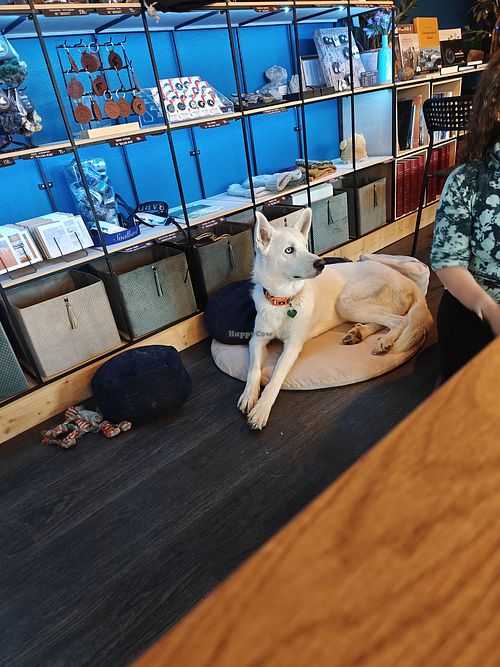  at Café Huskies in Longyearbyen